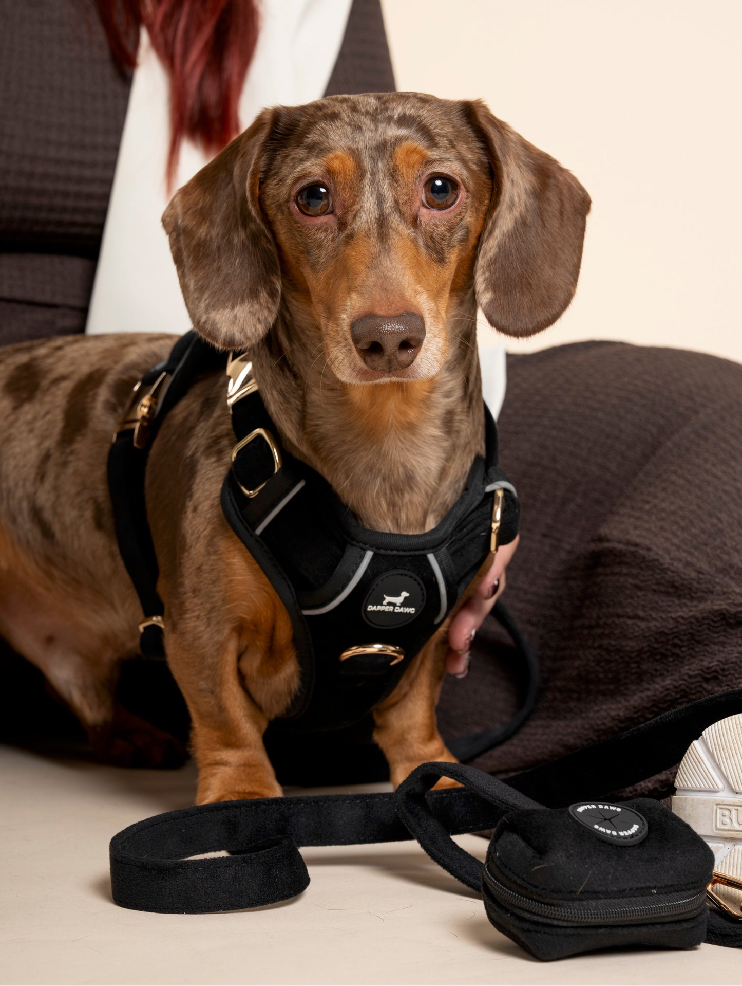 Harness - Midnight Black Velvet