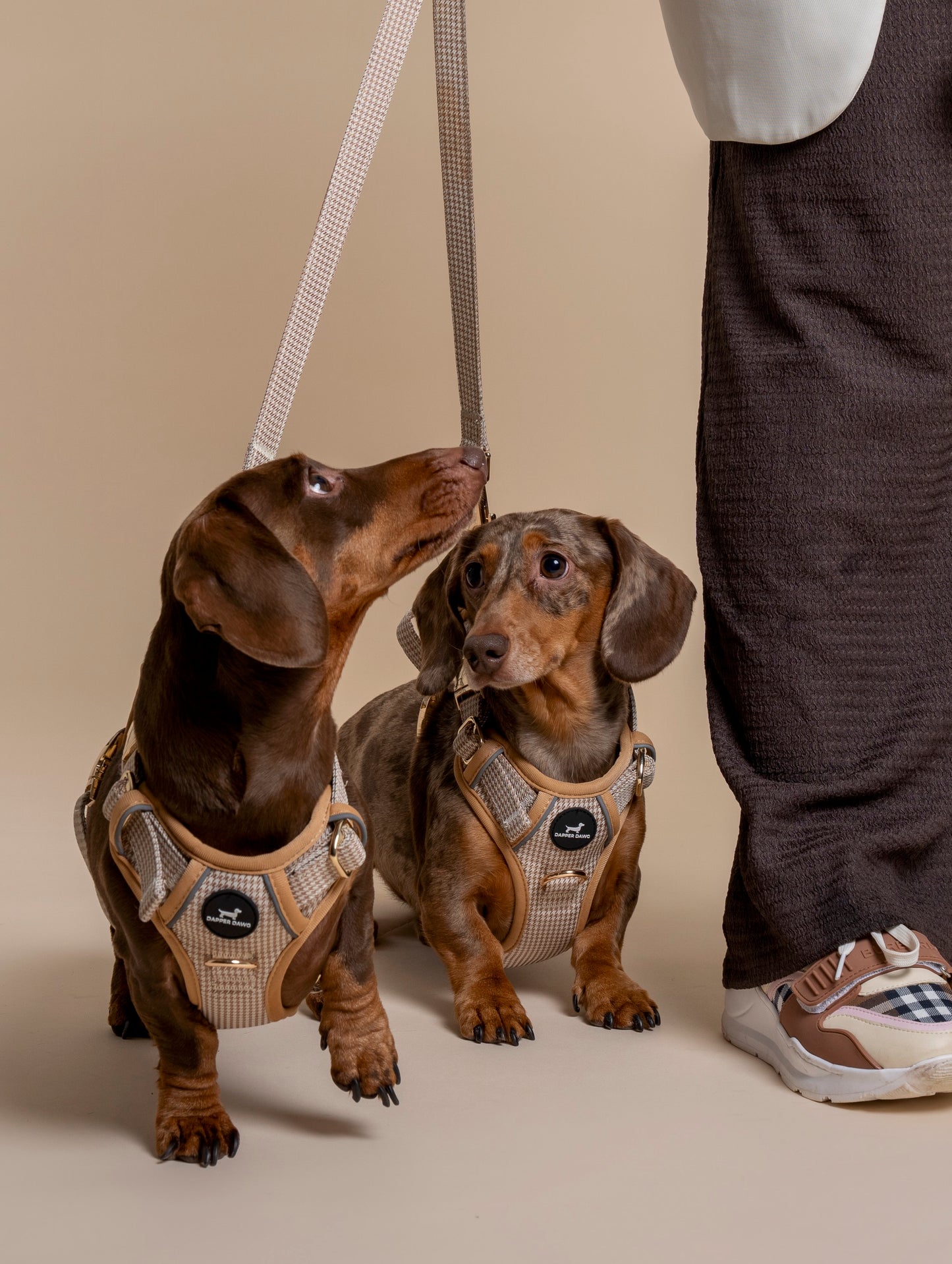 Harness - Beige & Bone Houndstooth