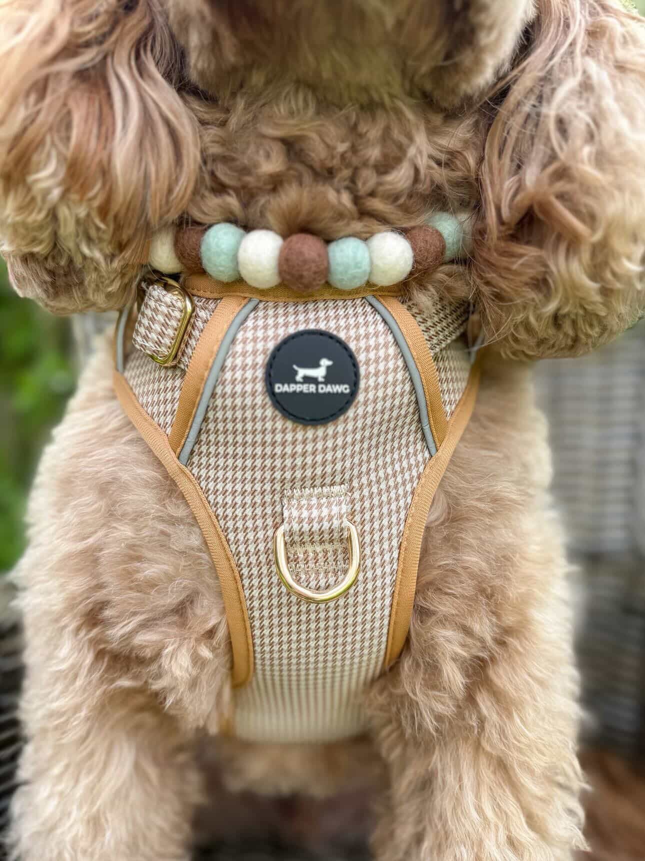 Harness - Beige & Bone Houndstooth