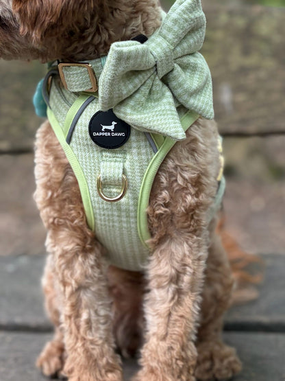 Bow - Matcha Heritage Check