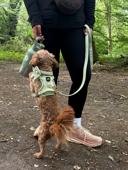Harness - Matcha Heritage Check