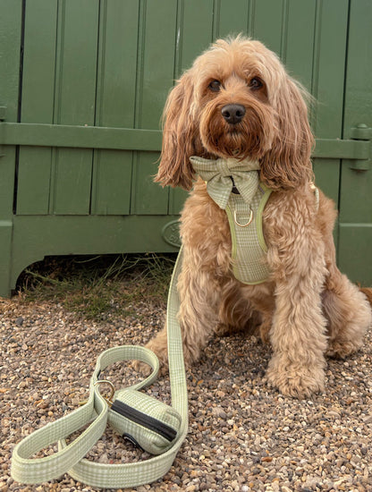 Harness - Matcha Heritage Check