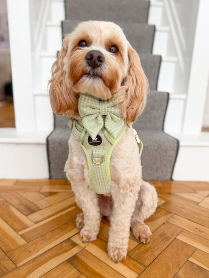 Harness - Matcha Heritage Check