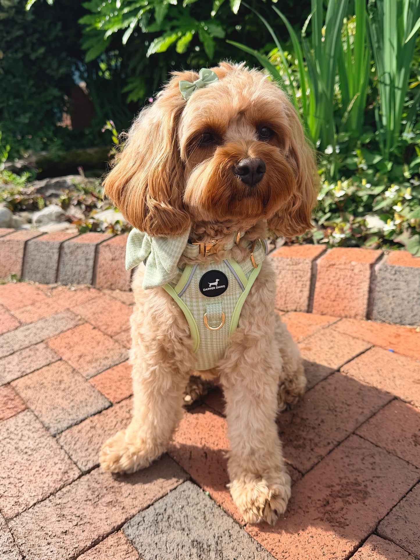 Harness - Matcha Heritage Check