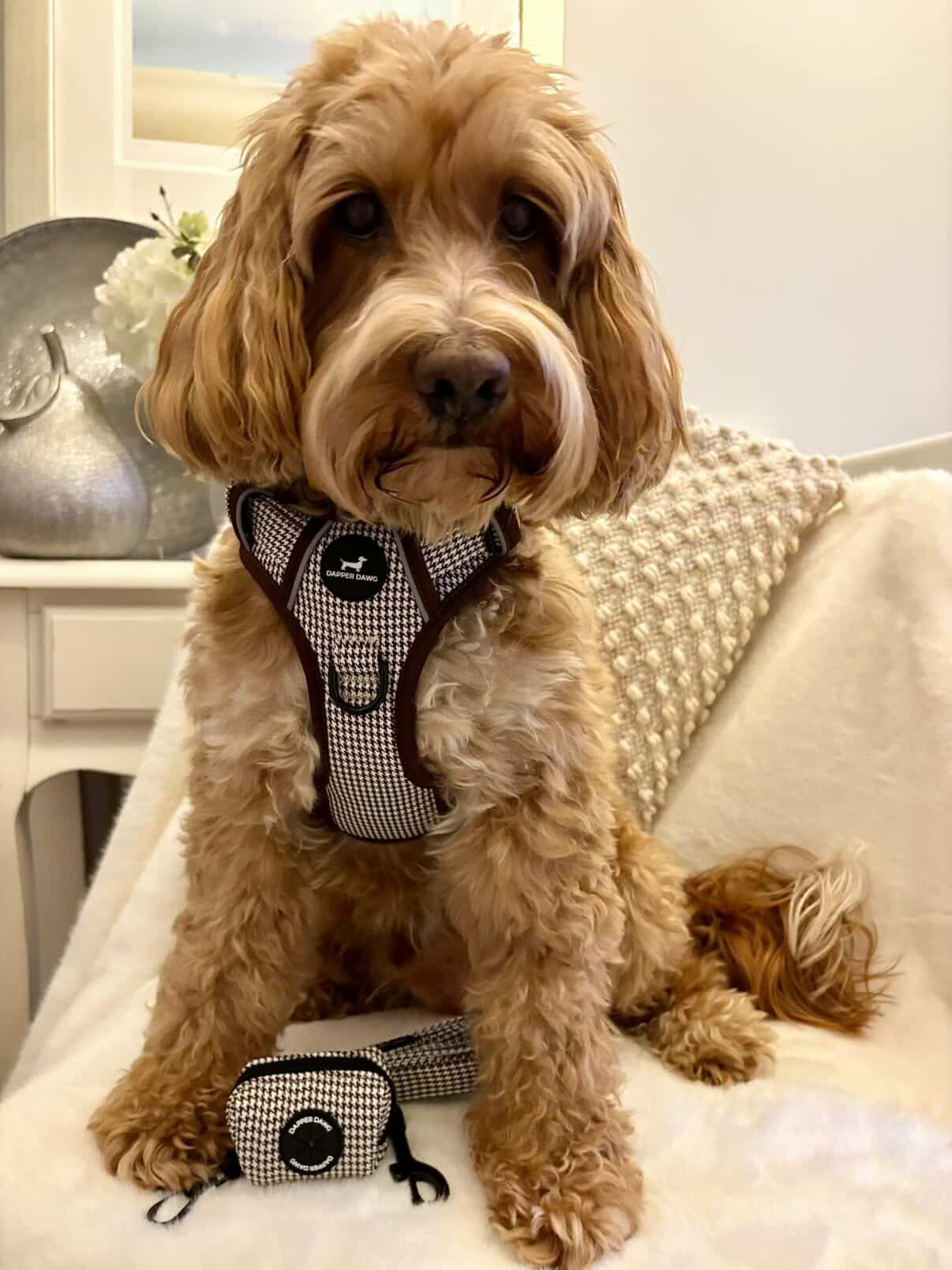 Harness - Espresso Houndstooth