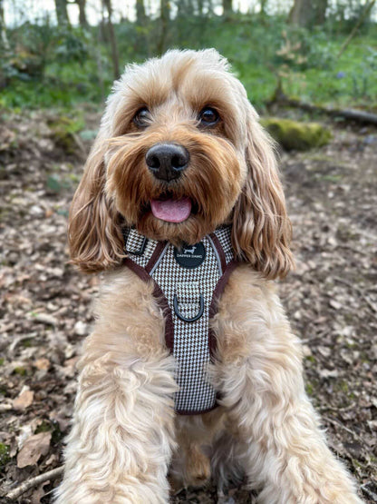 The Full Dapper Kit Bundle - Espresso Houndstooth