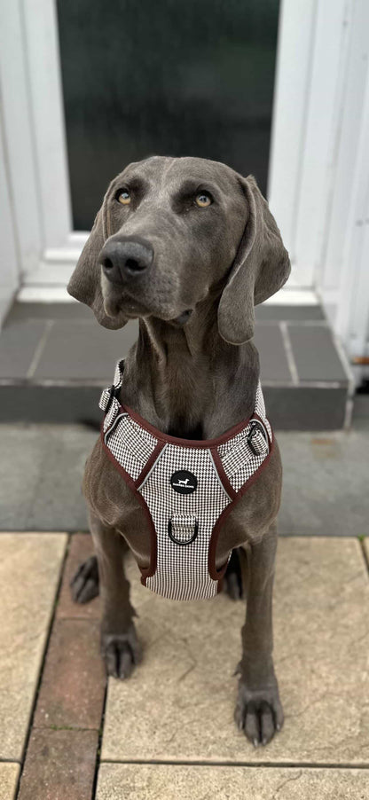 Harness - Espresso Houndstooth
