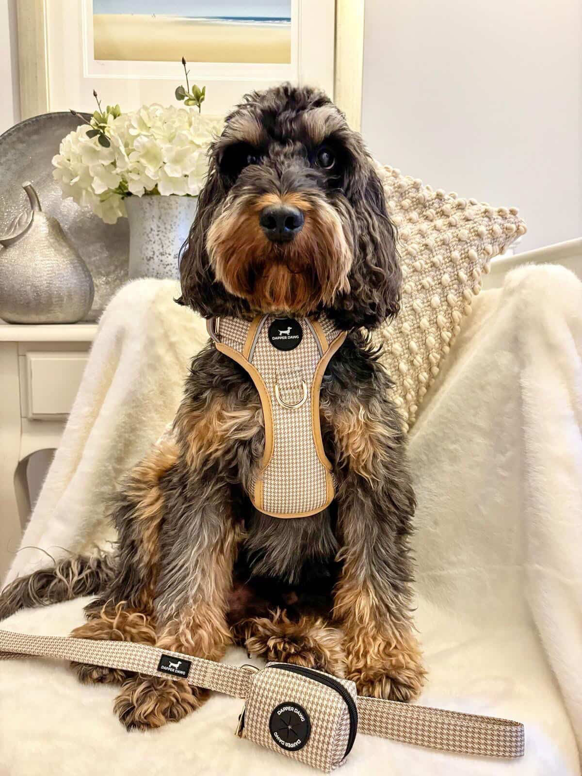 The Full Dapper Kit Bundle - Beige & Bone Houndstooth