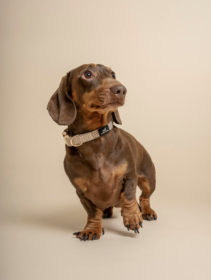 Collar - Beige & Bone Houndstooth