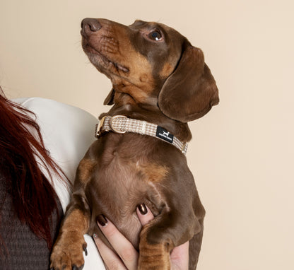 Collar - Beige & Bone Houndstooth