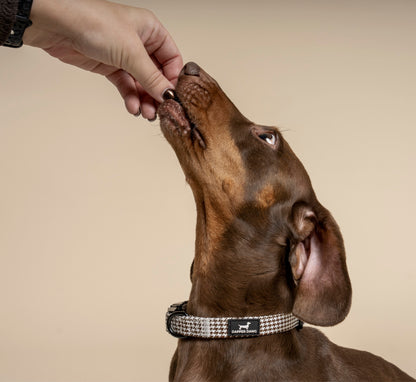 Collar - Espresso Houndstooth