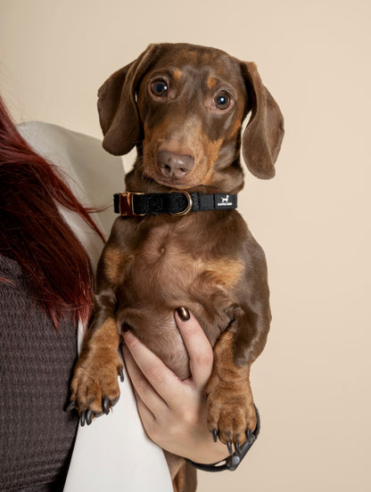 Collar - Midnight Black Velvet