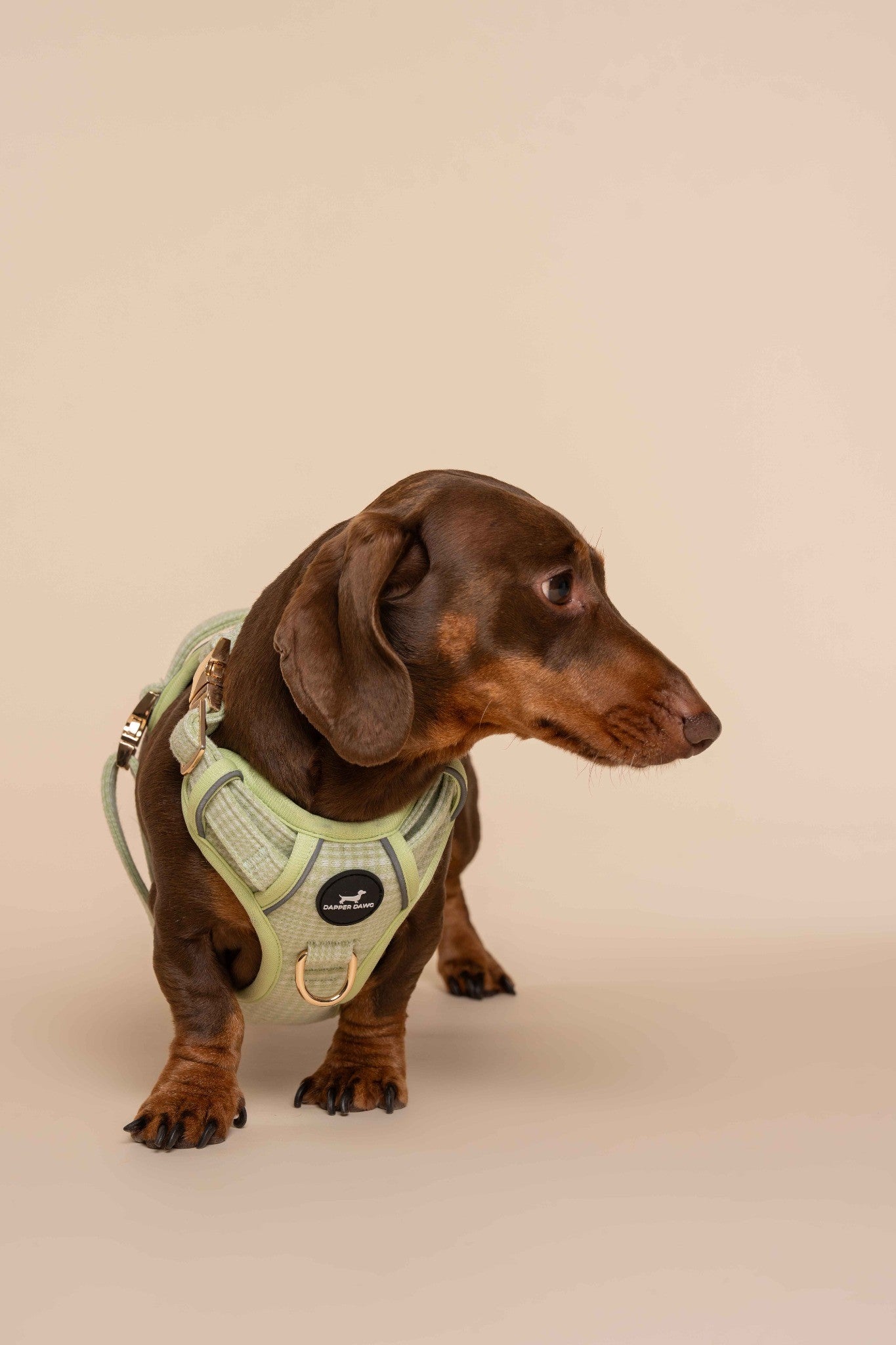 Harness - Matcha Heritage Check
