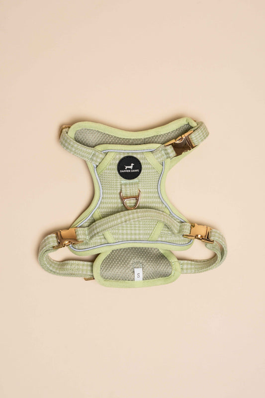 Harness - Matcha Heritage Check