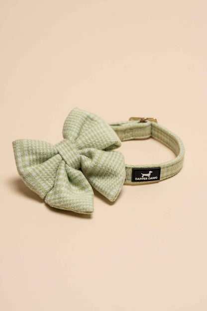 Bow - Matcha Heritage Check