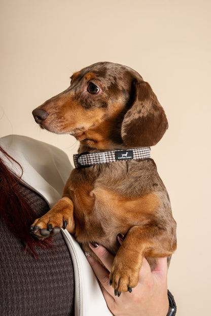 The Dapper Collar Bundle - Espresso Houndstooth