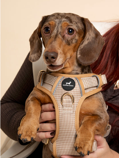 Harness - Beige & Bone Houndstooth