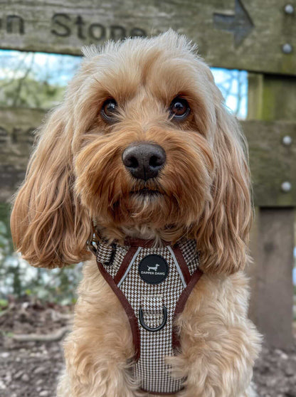 Harness - Espresso Houndstooth