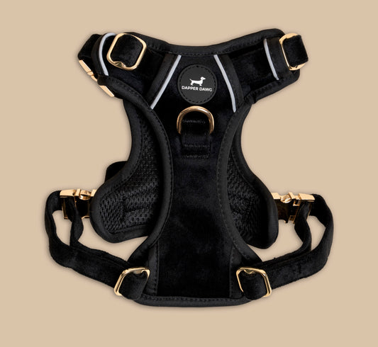 Harness - Midnight Black Velvet
