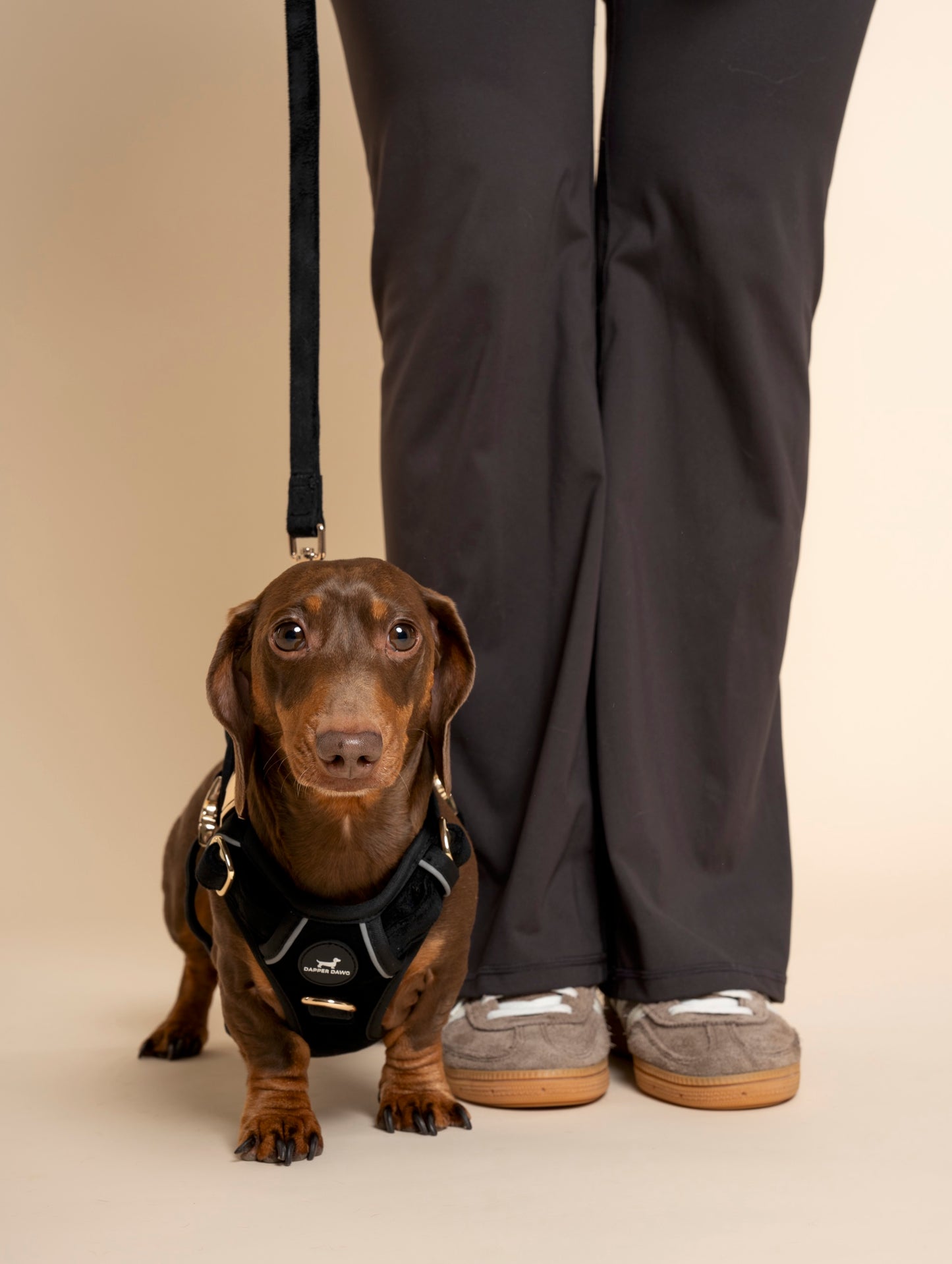 Harness - Midnight Black Velvet