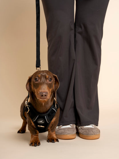 Harness - Midnight Black Velvet