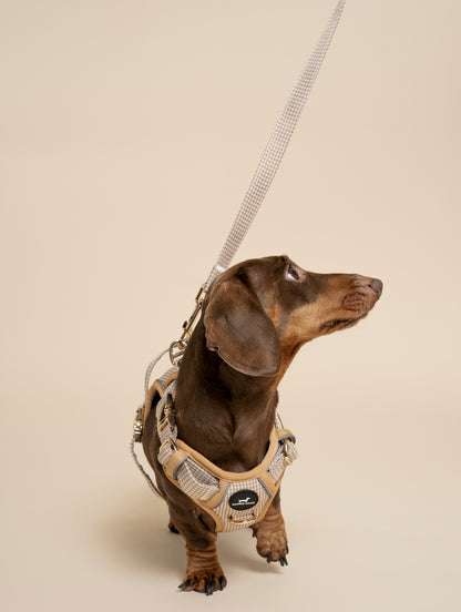 Lead - Beige & Bone Houndstooth