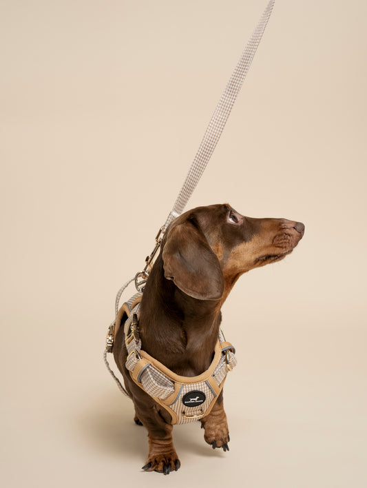 Lead - Beige & Bone Houndstooth