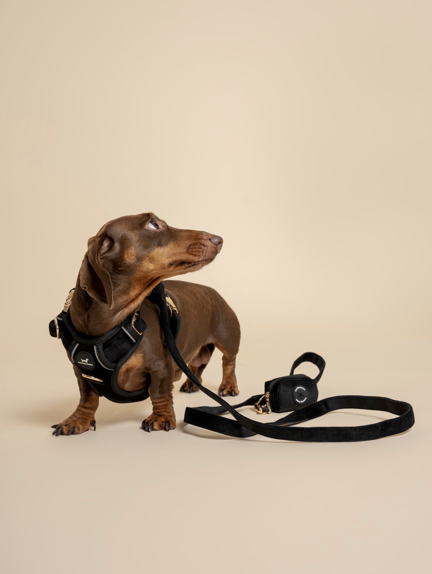 Lead - Midnight Black Velvet