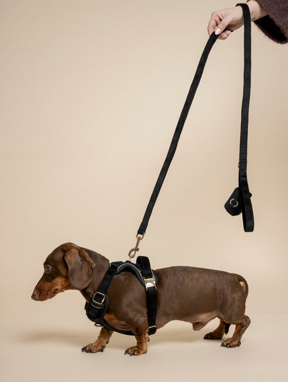 Lead - Midnight Black Velvet