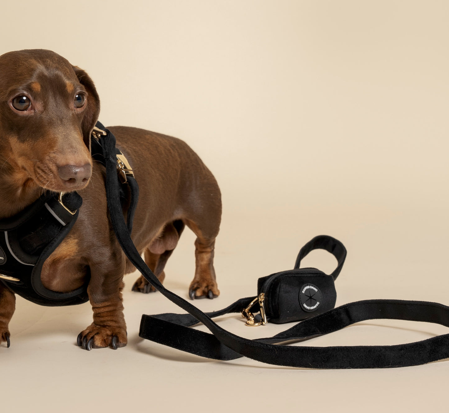 Poo Bag Holder - Midnight Black Velvet