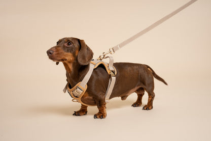 The Dapper Harness Bundle - Beige & Bone Houndstooth