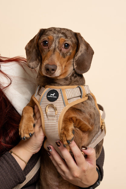 The Full Dapper Kit Bundle - Beige & Bone Houndstooth