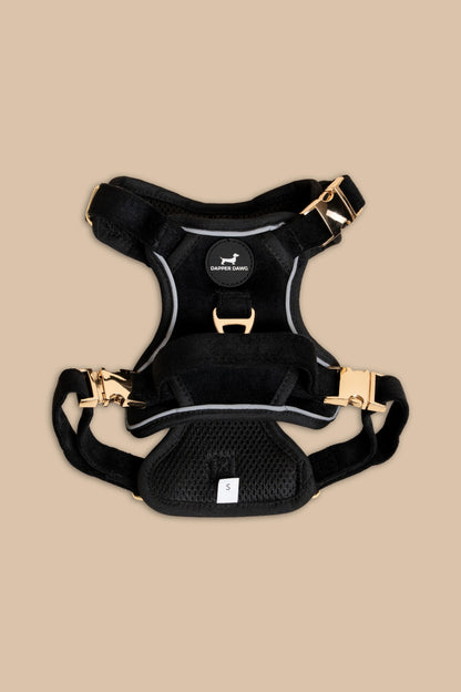 The Dapper Harness Bundle - Midnight Velvet