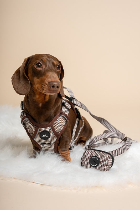 The Dapper Harness Bundle - Espresso Houndstooth