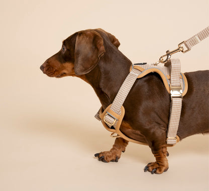 Harness - Beige & Bone Houndstooth