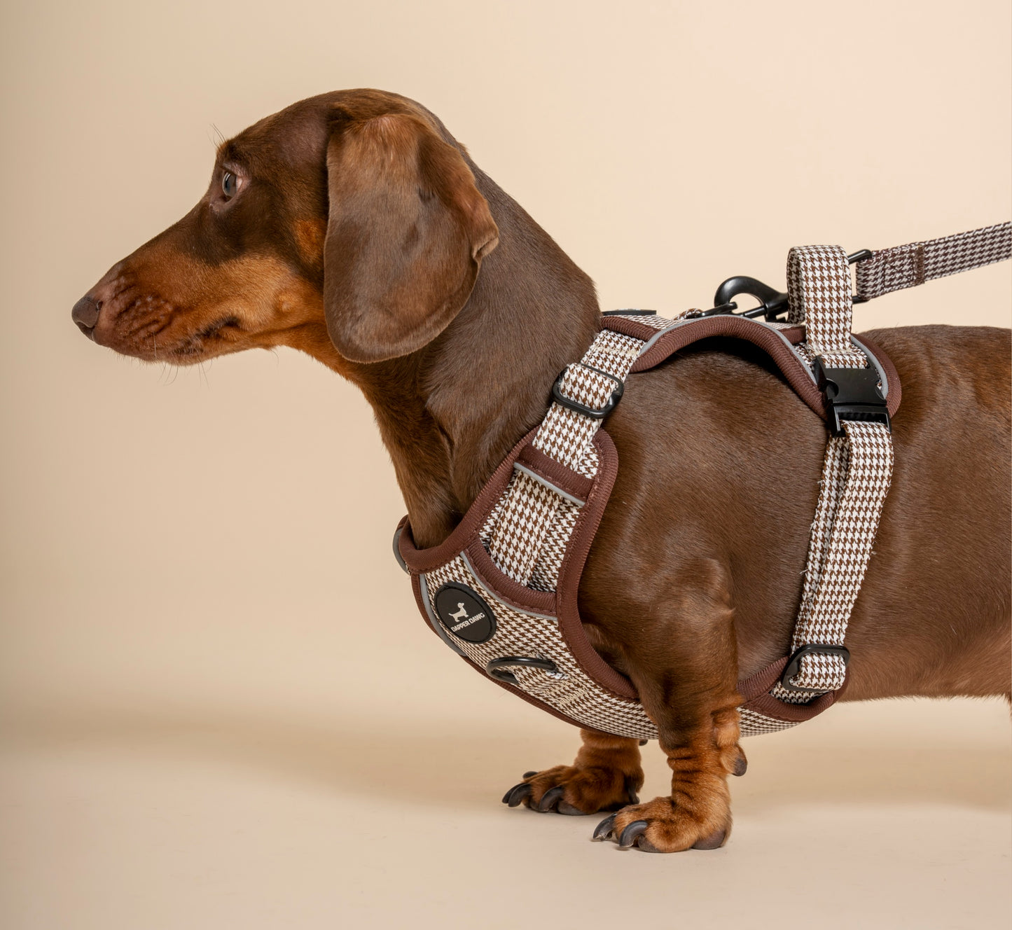 Harness - Espresso Houndstooth