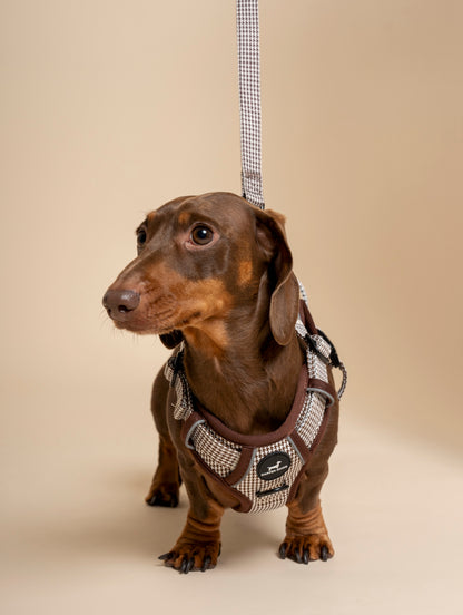 Harness - Espresso Houndstooth