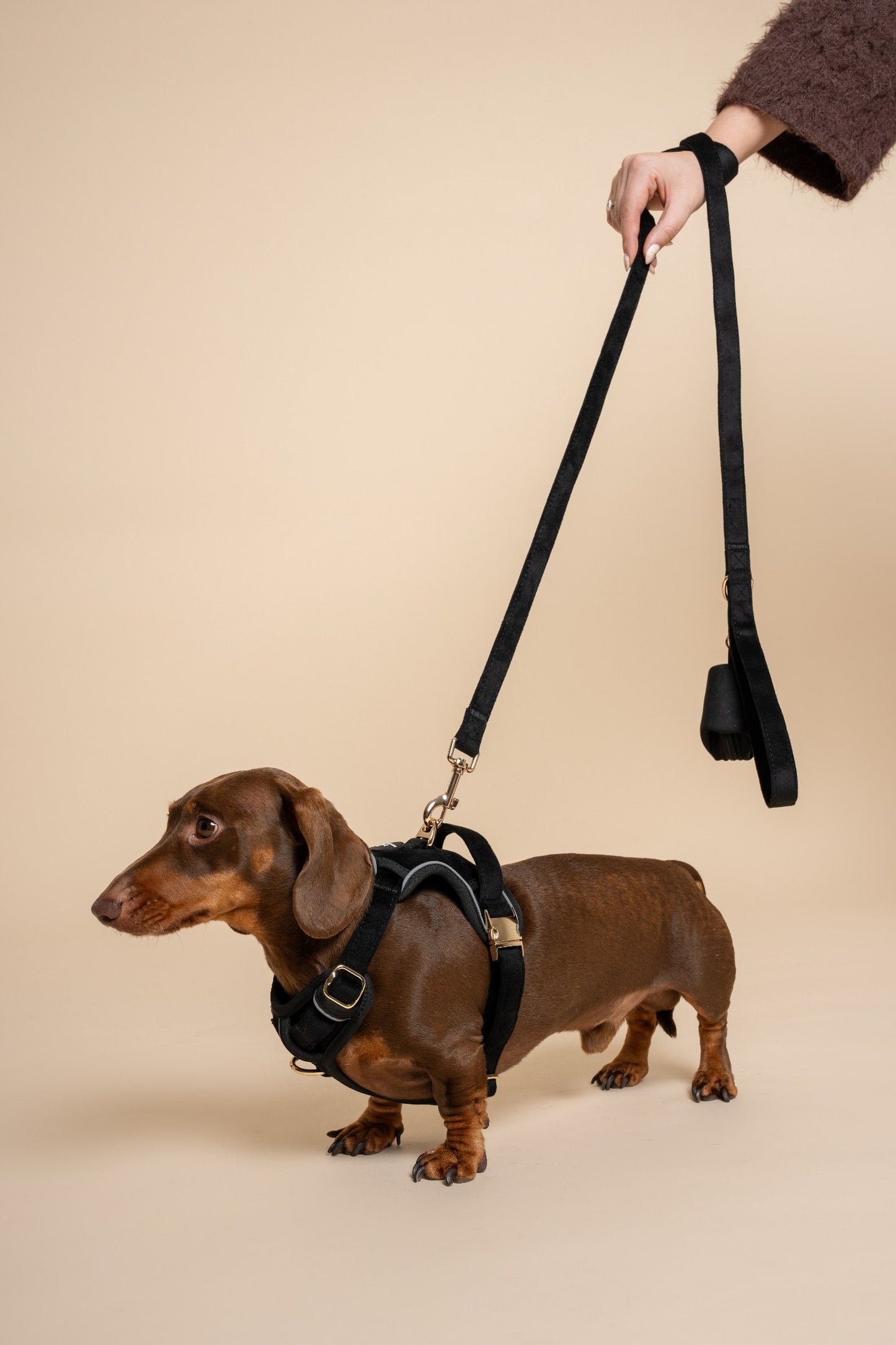 The Dapper Harness Bundle - Midnight Velvet